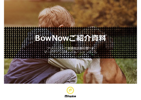 無料で使えるマーケティングオートメーション「BowNow（バウナウ）」