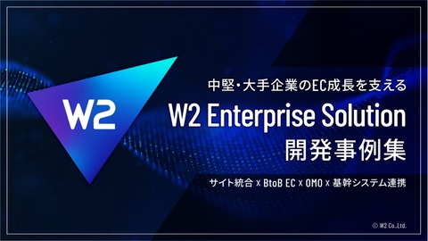 W2 enterprise solution 開発事例集