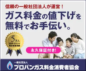 バナーデザインの教科書 訴求したいイメージ別 王道デザイン8選 Liskul