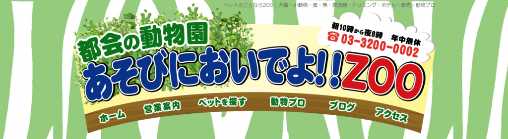 タレント猫 犬のペットモデル事務所への依頼方法 ギャラの相場とsns成功事例５選