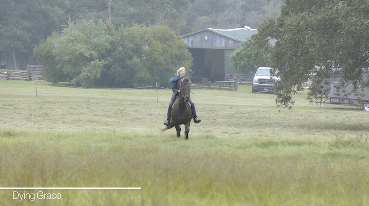 メディアフォーユー