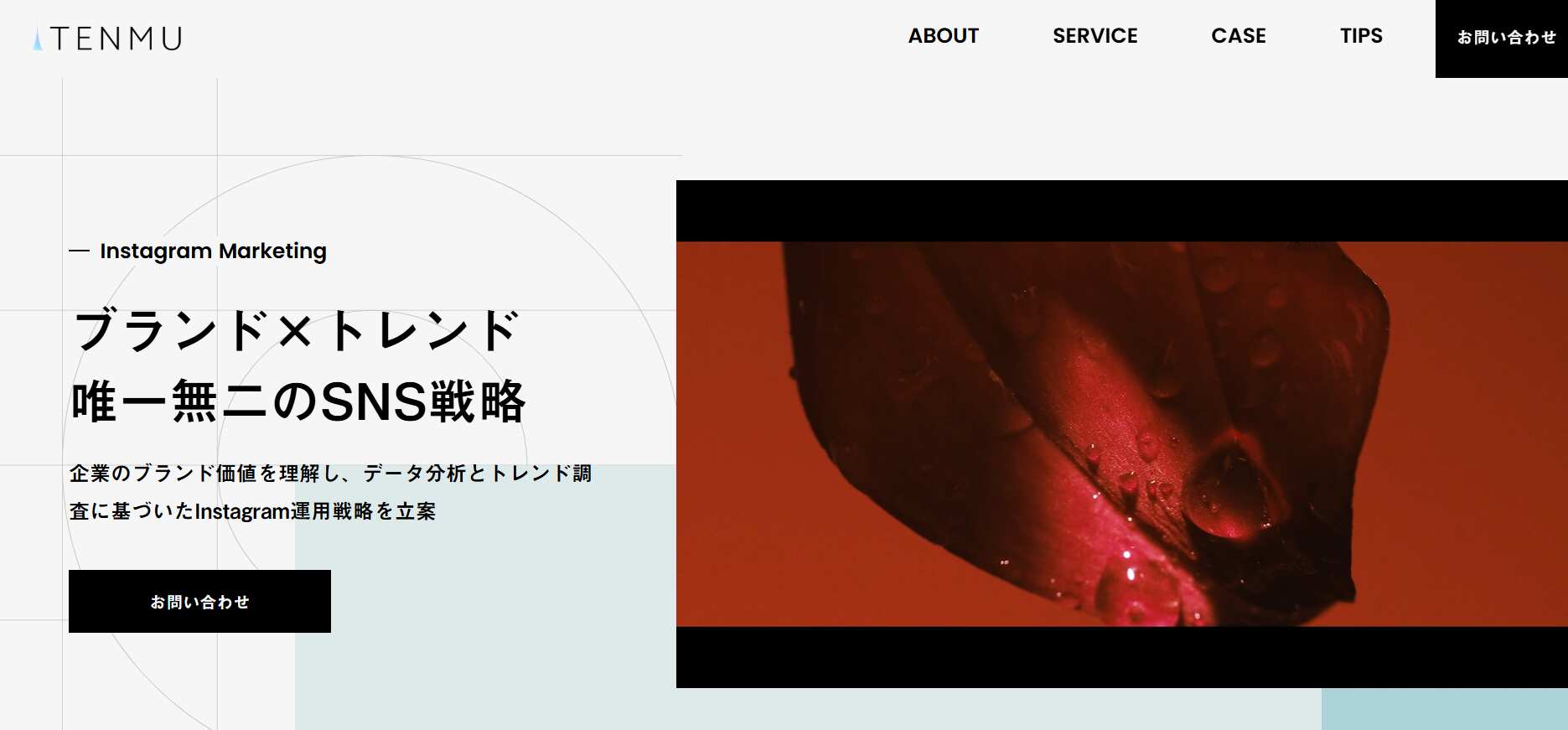 株式会社Tenmu