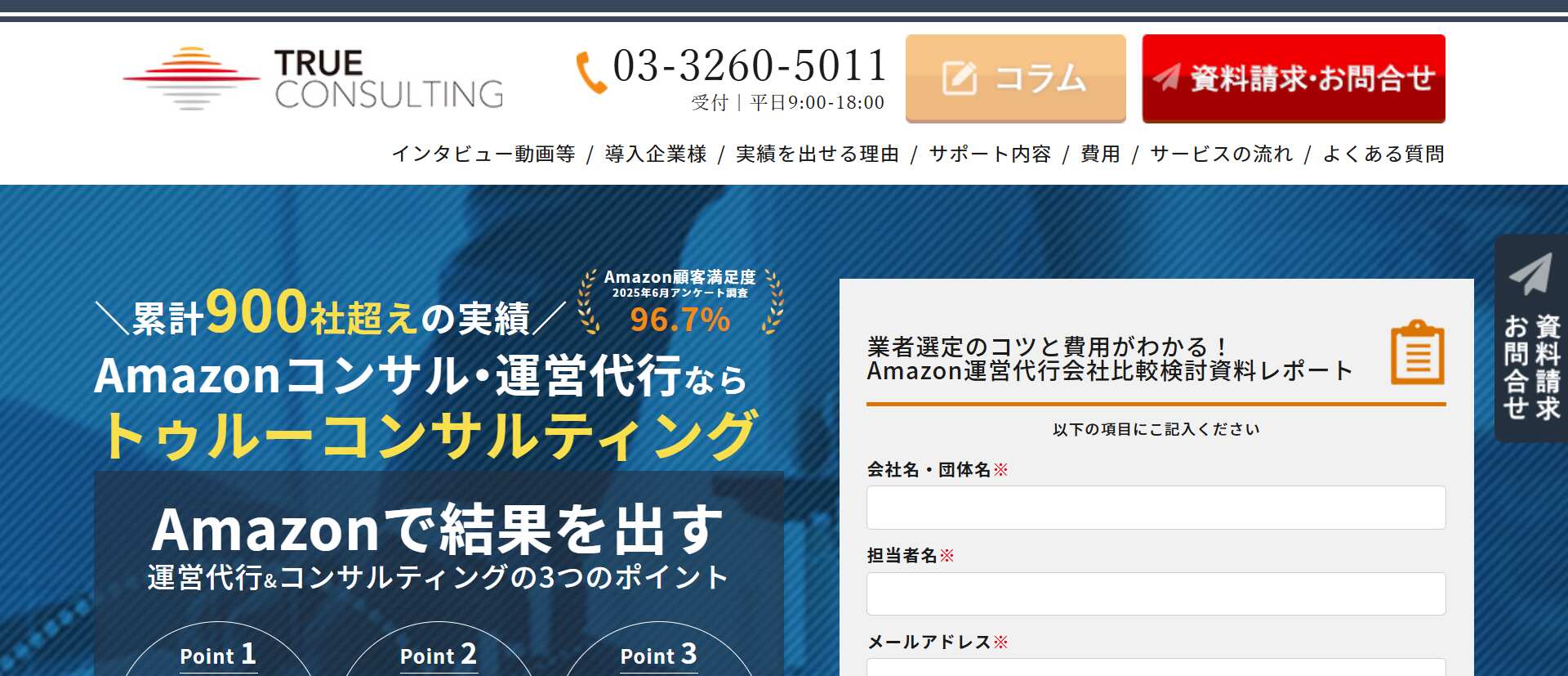 トゥルーコンサルティング